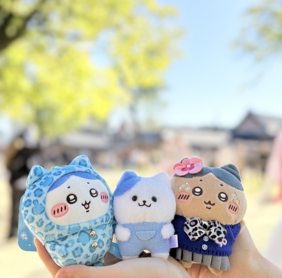 hachiware0501_'s tweet photo. 오늘 공주와레 다과모임 햇구 넘 행복햇서요.... https://t.co/F8fhH2vADh