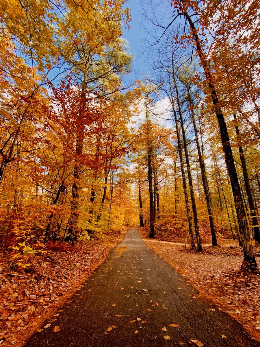 snflower500's tweet photo. Backroads of Maine from a few years ago…. https://t.co/3ON7KcGdYL