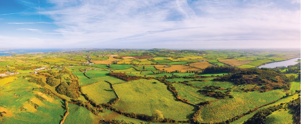 daera_ni's tweet photo. SAP is providing around £330 million in support each year with a range of schemes, including payment schemes, data platforms and those that provide information and knowledge. Check your eligibility for SAP schemes at https://t.co/8187riVsUX https://t.co/gHcOdewB2R