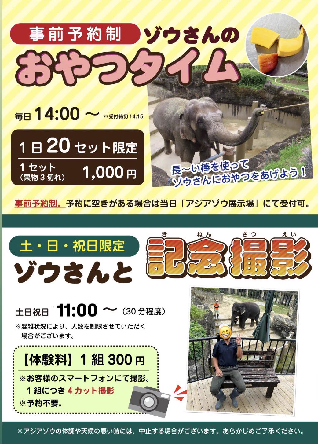 そう様✪専用ページ 公式】宮崎市フェニックス自然動物園 on X: 