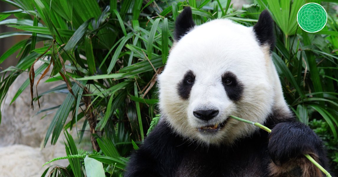 trustintel's tweet photo. Has China become too cheap to ignore?

https://t.co/25QGB2pbtf

Capital at risk. https://t.co/CSew9k038J