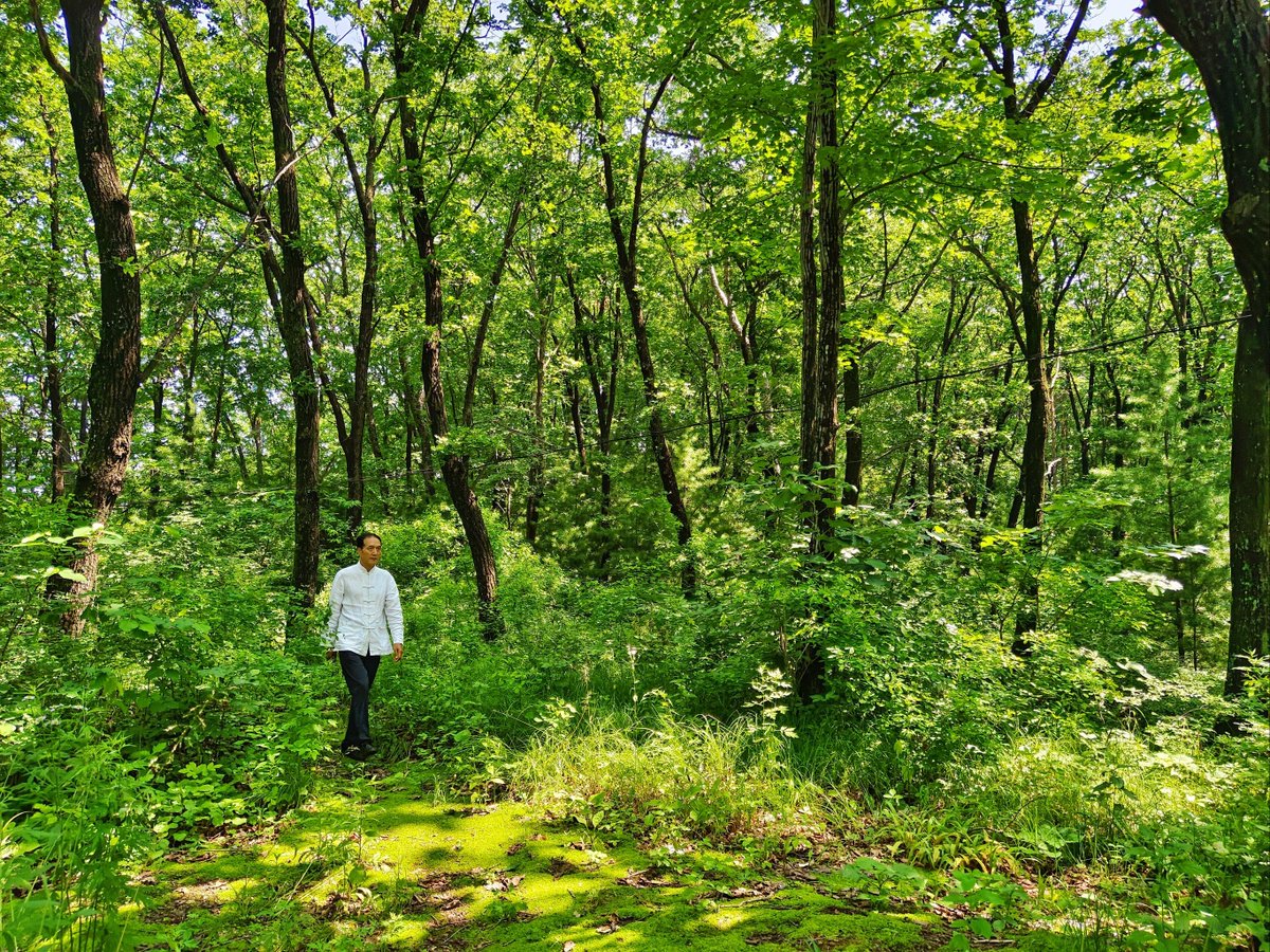 NicholasCojmvv's tweet photo. Tried the new immersive hiking trail in the urban woods today—spotting hidden waterfalls u0026 listening to birdsong right after work Game changer for city dwellers craving fresh air! https://t.co/iTczZvZD0c
