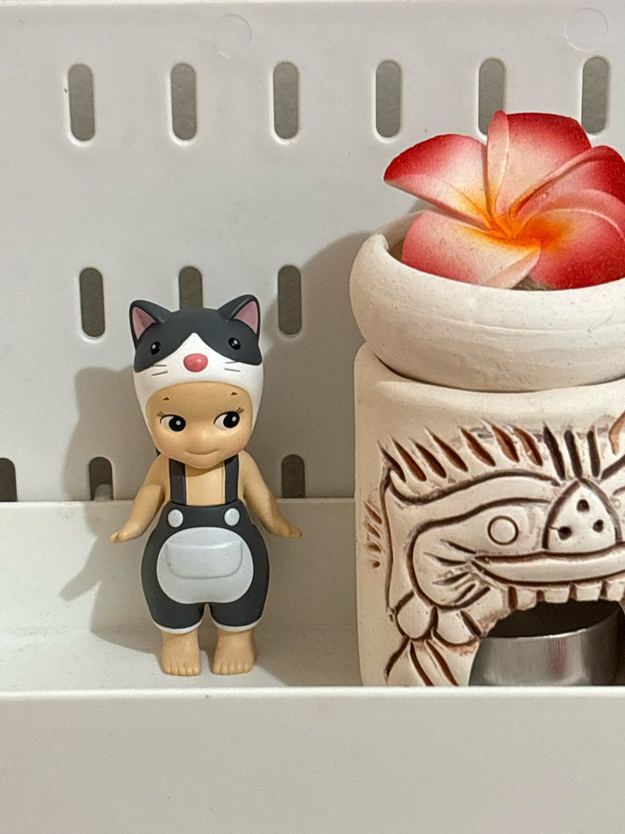 iounaraa's tweet photo. wts sonny angel 
bisa 🍊

tuxedo cat (ori) 130k

1:1 
- bunny cbs spring 80k
- lucky cat 60k
- lop ear hippers 90k

ALL NO BOX! https://t.co/hZaTbPOVkl