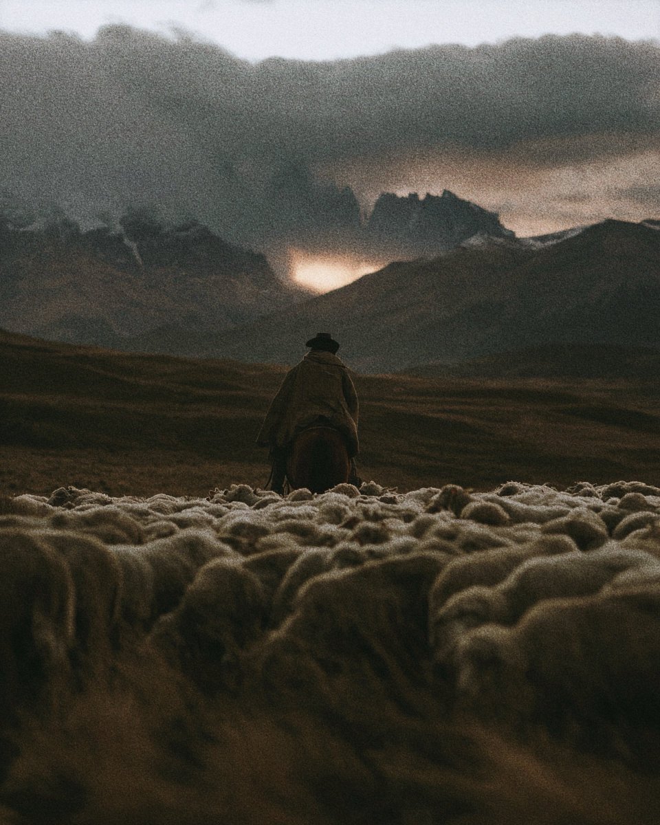 Diosyfeesp's tweet photo. ⏳ Deja de vivir con la angustia de qué pasará mañana; Quien te guía tiene el control de todo lo que necesitas.

​📖 "El Señor es mi pastor; nada me falta. En verdes praderas me hace descansar; junto a tranquilas aguas me conduce."

​✝️ Salmo 23:1-2 (NVI)

​💡 La verdadera paz llega cuando entiendes que la provisión de Dios no depende de las circunstancias del mundo, sino de su fidelidad. 
Si Él te sostiene, nunca te faltará lo esencial.