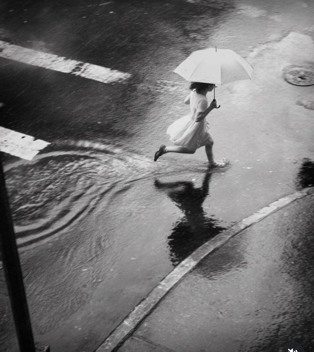 AyhanKomurcu's tweet photo. ☔
📷 Noemia Prada https://t.co/7Lfj17iDKO