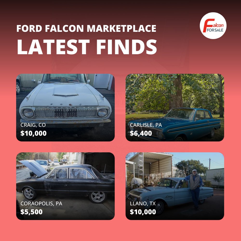 falconforsale's tweet photo. Check out new listings shared daily! Visit https://t.co/of1eeiZ9Ag https://t.co/OB2ha2urgh