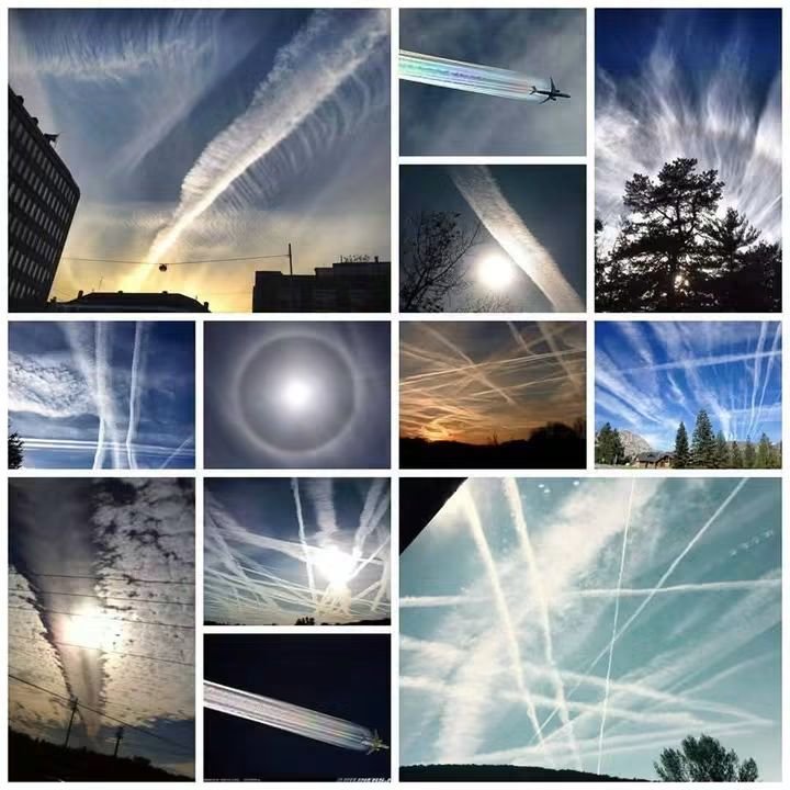 NICKBAZINE58571's tweet photo. IF IT'S NOT COMPLETELY SHUT DOWN "WORLDWIDE", WE ARE ALL  "DOOMED".👇COME ON, CITIZENS OF THE WORLD.
NATURE LOVERS.
FARMERS...
WHY ARE YOU STUMPED!
ARE YOU BLIND?
DON'T YOU CARE?
AFRAID OF BEING LABELED A CONSPIRACY THEORIST? 
SERIOUSLY! COME ON! 
THE SILENCE IS DEAFENING!😶‍🌫️👇😶‍🌫️ https://t.co/dn9ecPvdyF