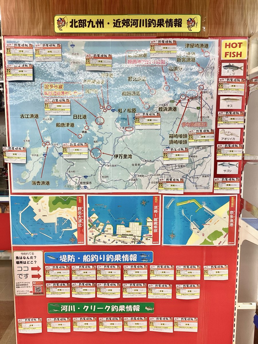 point_kurume's tweet photo. 今週の釣果情報更新！🆙🎣
福岡方面は『サゴシ』『アジ』
唐津方面は『アオリイカ』
船釣りは『ヒラマサ』『サワラ』

各方面様々なお魚が釣れてます✨😆
#釣果情報
#サビキ釣り
#ルアー
#落とし込み
#釣具のポイント https://t.co/uXWh26XXiV