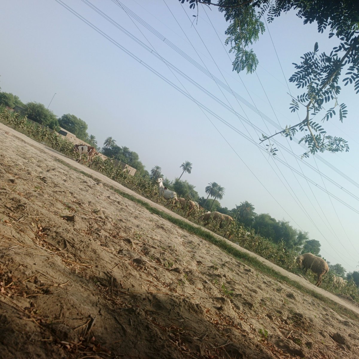 haliansah's tweet photo. Hsjgdkvjdhd https://t.co/YDG47hf6dK