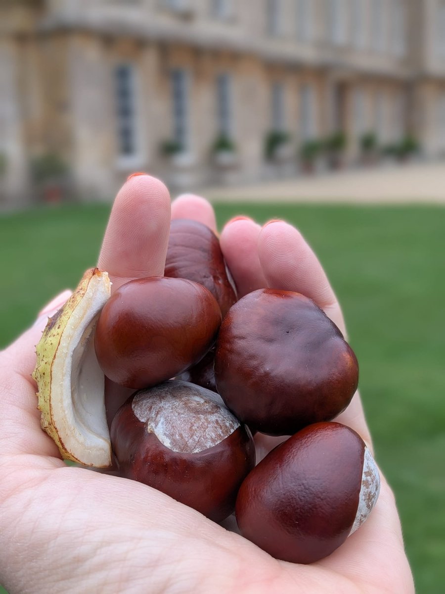 NTDyrhamPark's tweet photo. Take time to wander round the garden this autumn to take in the sights, scents and sounds of nature. 

From the toffee-like smell of the katsura tree to the gentle cascade and the cool feel of the parterre decorations, there's so much to stimulate all the senses.
#Autumn #October https://t.co/46KMAXl914