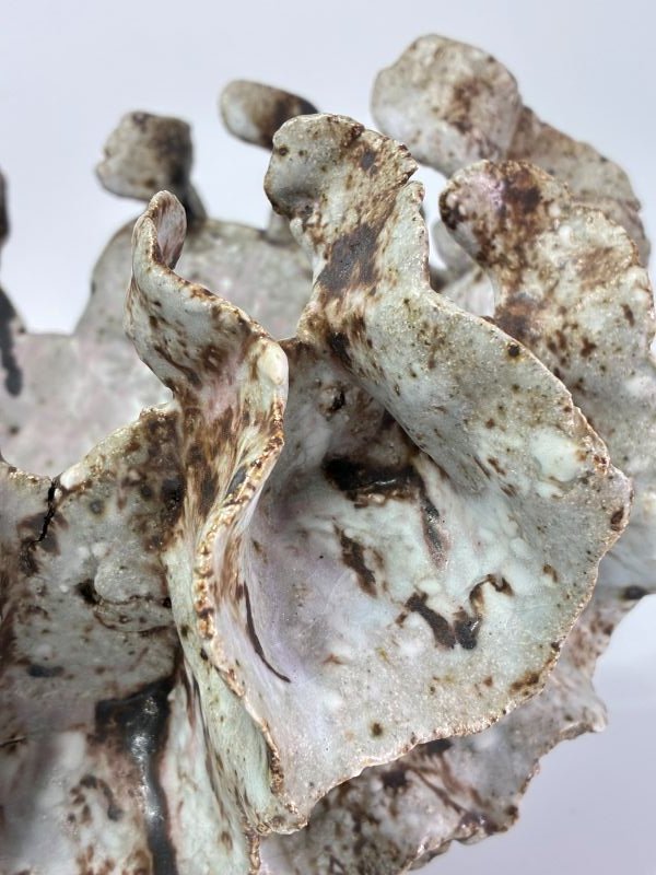 MakersWales's tweet photo. Details of Ceramics by Bev Bell Hughes
Learn more about Bev -
https://t.co/zHDP3YsLmo
#BevBellHughesCeramics
#MadeinWales
#Welshceramics
#buyonline
#MakersGallery https://t.co/hN8gYGb1RM