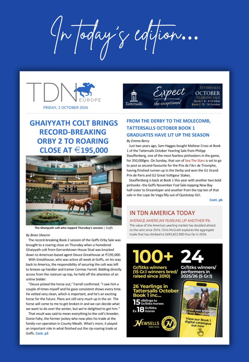 theTDN's tweet photo. Friday, Oct. 2 TDN Europe 🗞️ 
▪️ Ghaiyyath colt brings record-breaking Orby 2 to roaring close at €195,000
▪️ From the Derby to the Molecomb, @Tattersalls1766 October Book 1 graduates have lit up the season 

https://t.co/EF99Q2MaR6 https://t.co/C0XdjJI7YH