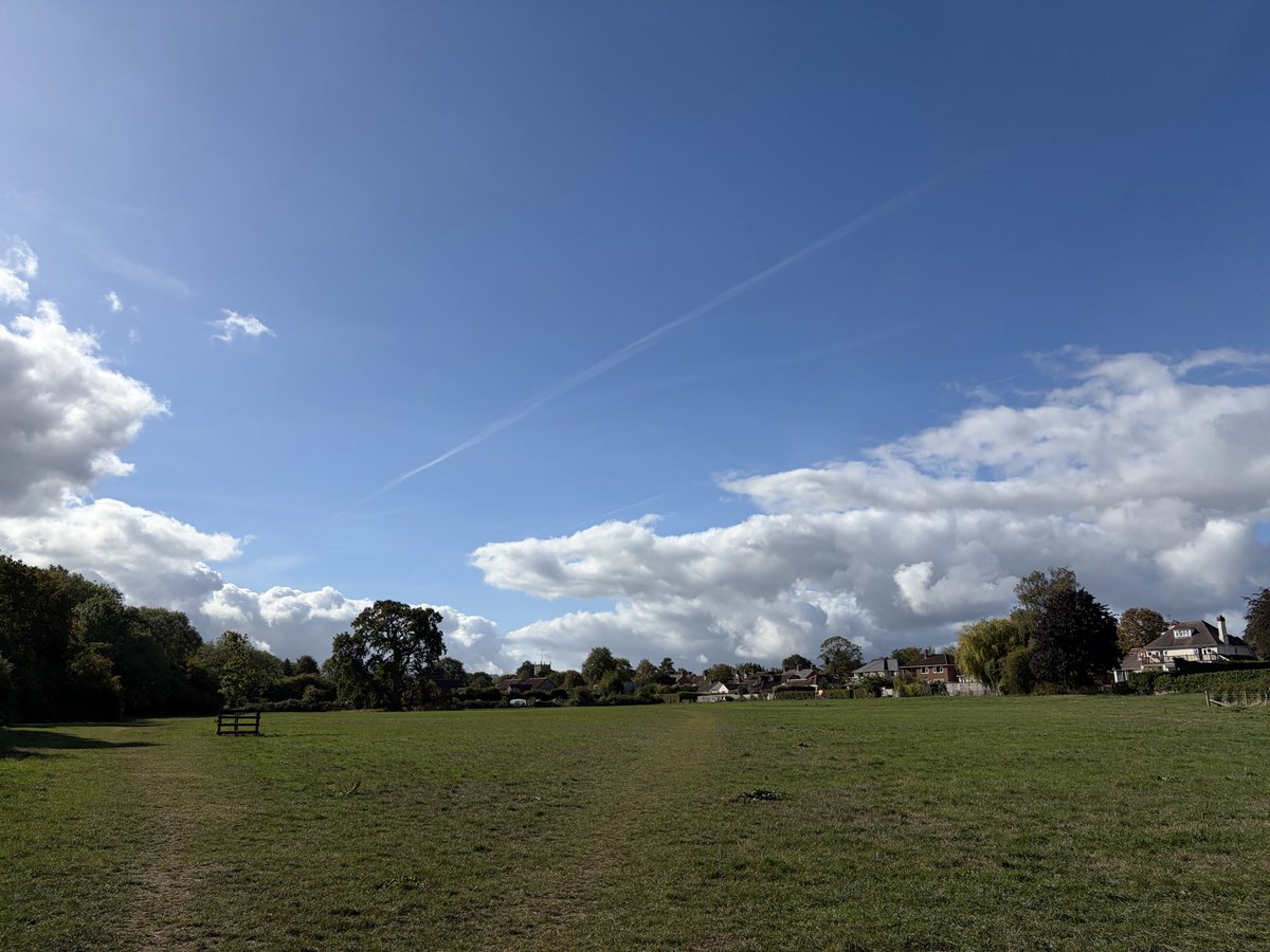 gingerfig's tweet photo. #currentview
What a glorious morning #loveautumn
😊 https://t.co/B5B247NA3t