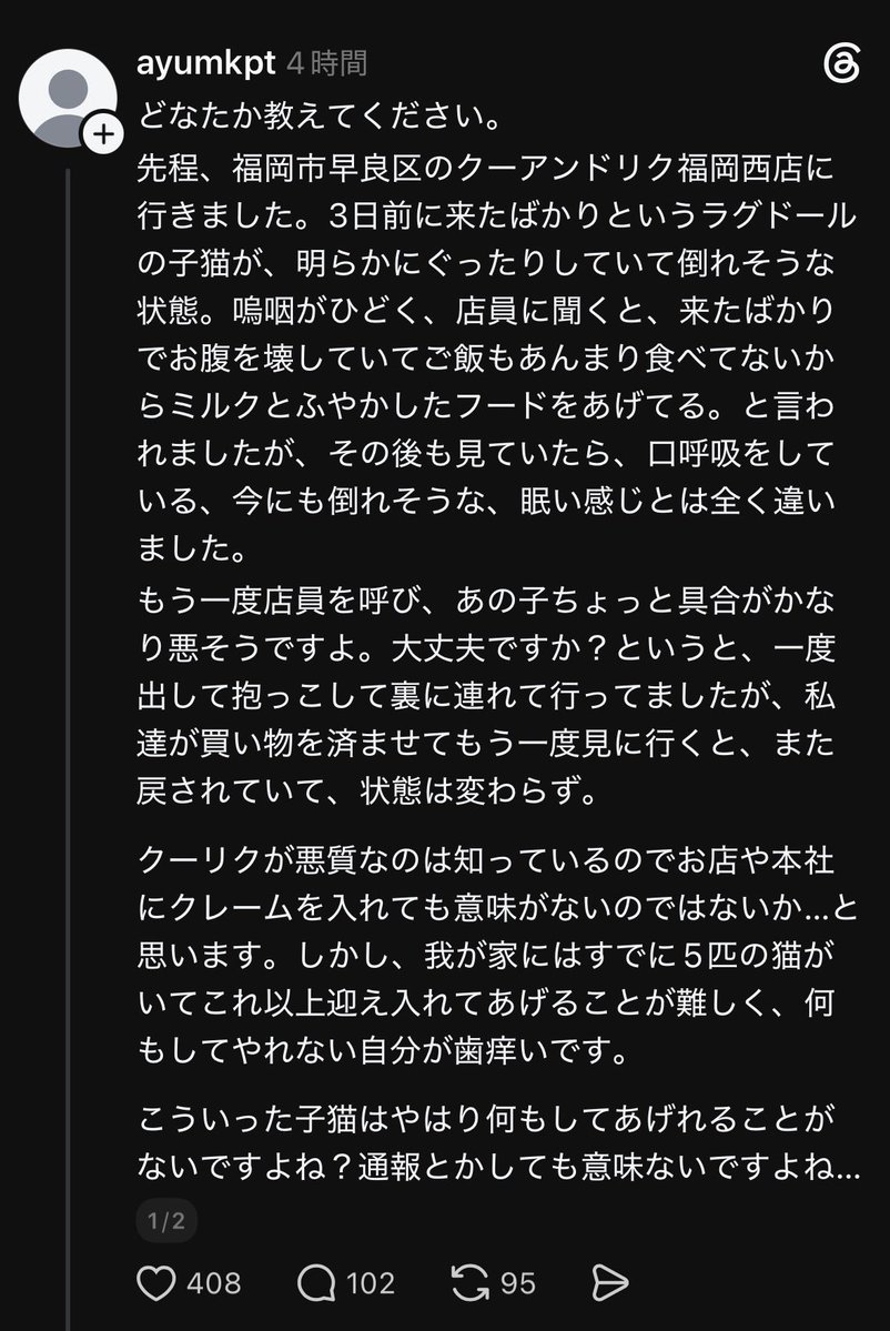 ____581's tweet photo. クー&amp;リクの猫ちゃんが立つこともままならない状態のまま販売されてるらしい
クーリクほんまに嫌い。ここで働いてる人は動物嫌いじゃな���とおかしいと思うレベルで動物たちが虐待の扱いされててしんどい。お願いやからペットショップ無くなって欲しい🥲 https://t.co/NkUK91E2bn