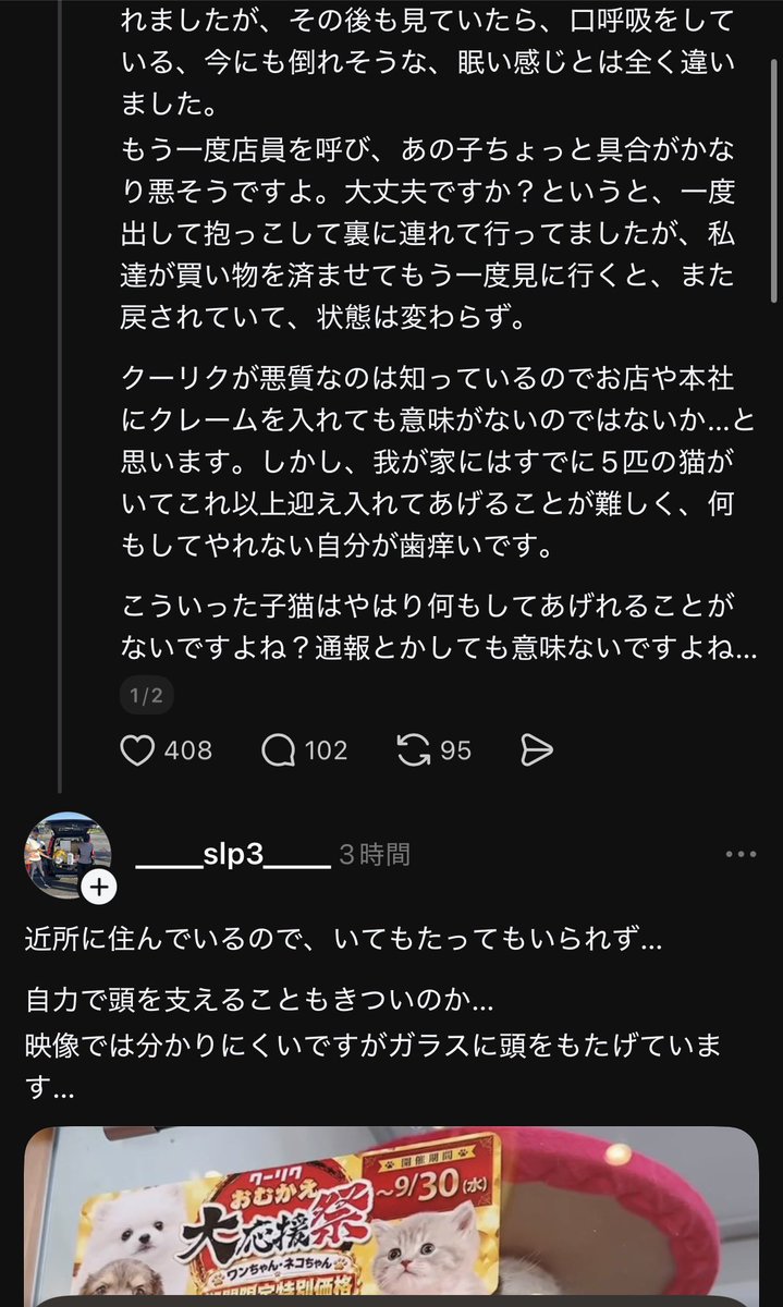 ____581's tweet photo. クー&amp;リクの猫ちゃんが立つこともままならない状態のまま販売されてるらしい
クーリクほんまに嫌い。ここで働いてる人は動物嫌いじゃな���とおかしいと思うレベルで動物たちが虐待の扱いされててしんどい。お願いやからペットショップ無くなって欲しい🥲 https://t.co/NkUK91E2bn