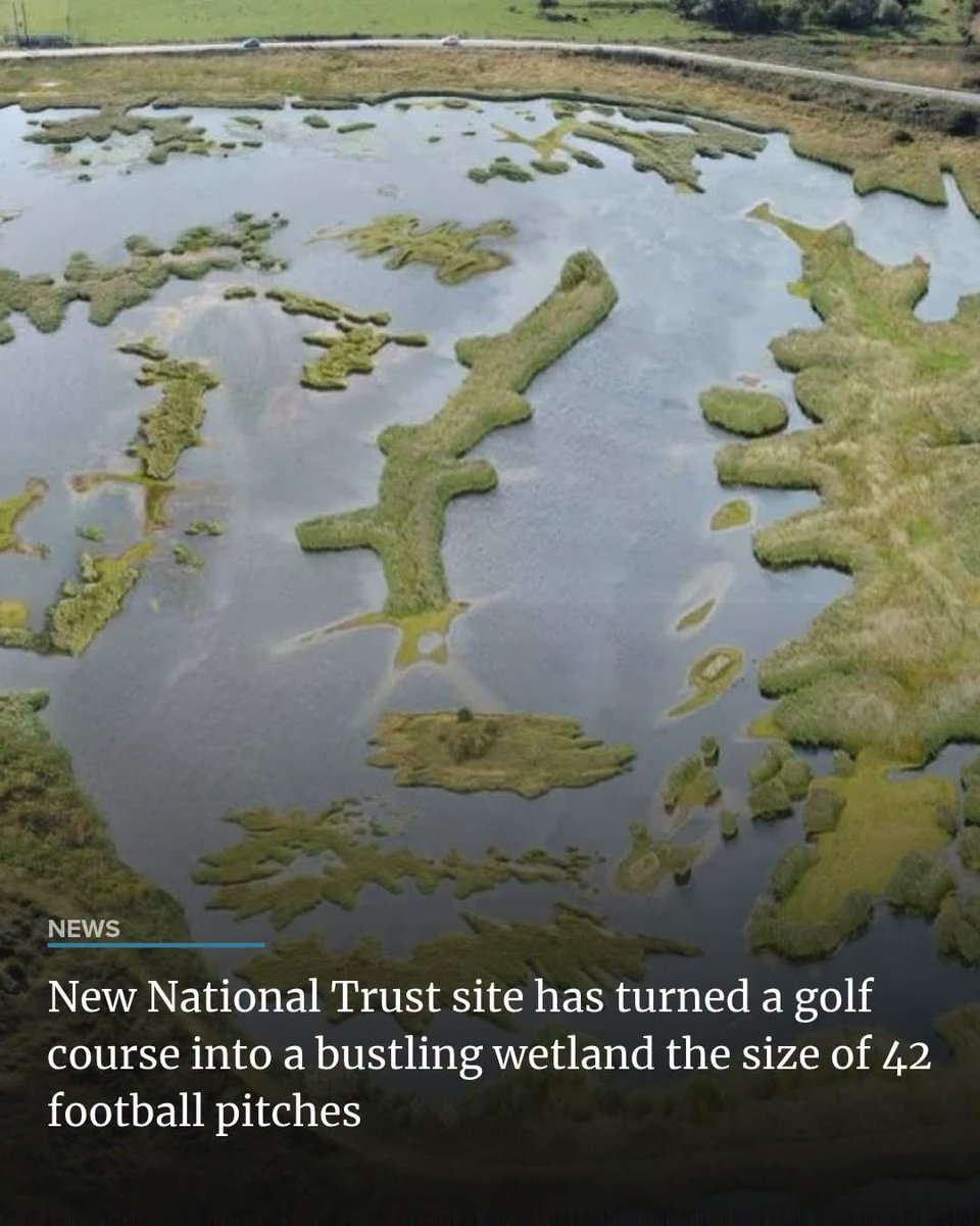 domdyer70's tweet photo. Turning a green dessert back into an oasis well done National Trust https://t.co/Ht6GAKCxno