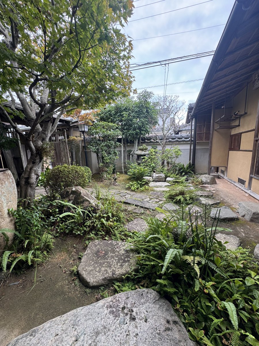 acejp_super's tweet photo. 先日、萩市に下調べに行った時に偶然見つけお邪魔しました。人間国宝、三輪休雪作のお茶碗でお抹茶頂きました。
夕方近くになり疲れてきたところに甘い羊羹とほろ苦い一服で完全復活しました。 https://t.co/veAobYE80z