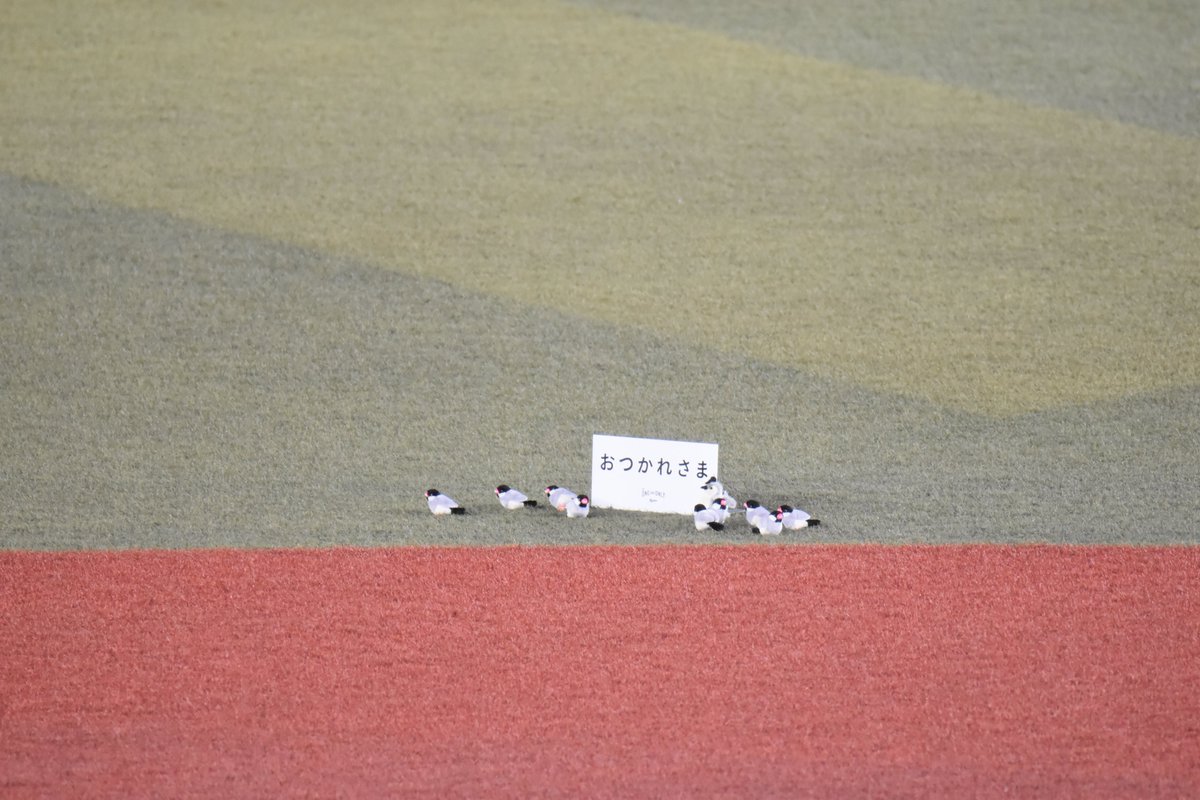 sea_hawks52's tweet photo. 2026.10.2
ZOZOマリンスタジアム

角中さんが鳥を追い払う場面の鳥を再現する
千葉ロッテマリーンズさんwwwwww

#chibalotte
#sbhawks
#角中勝也 https://t.co/Q2Cpmq5o0z
