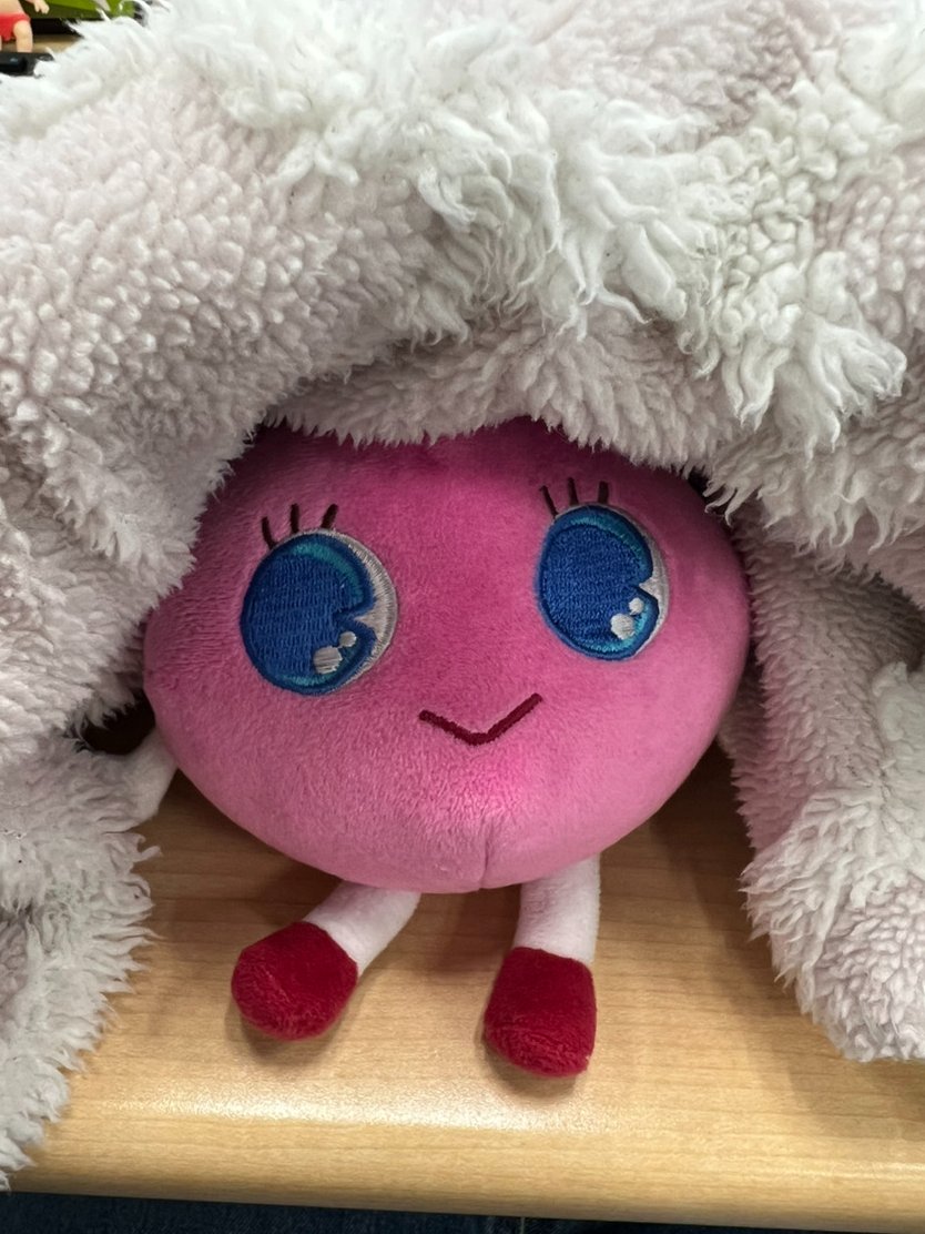 tainew_chocolat's tweet photo. 肌寒い日が多くなってきましたね！

ショコラは寒さに弱いみたいです🥶 https://t.co/BqUFzQJB52