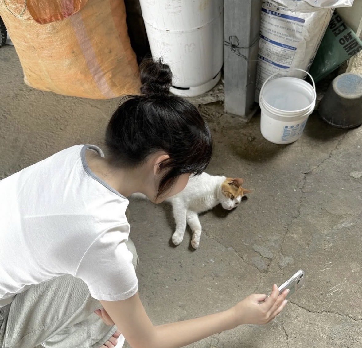 gimbin145's tweet photo. 아직까지는 오프할 생각 X https://t.co/tIclp4haw0