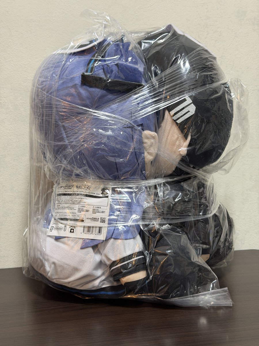Hayatsuki_'s tweet photo. #ブルアカぬいぬい部 https://t.co/RUjm73DW4H