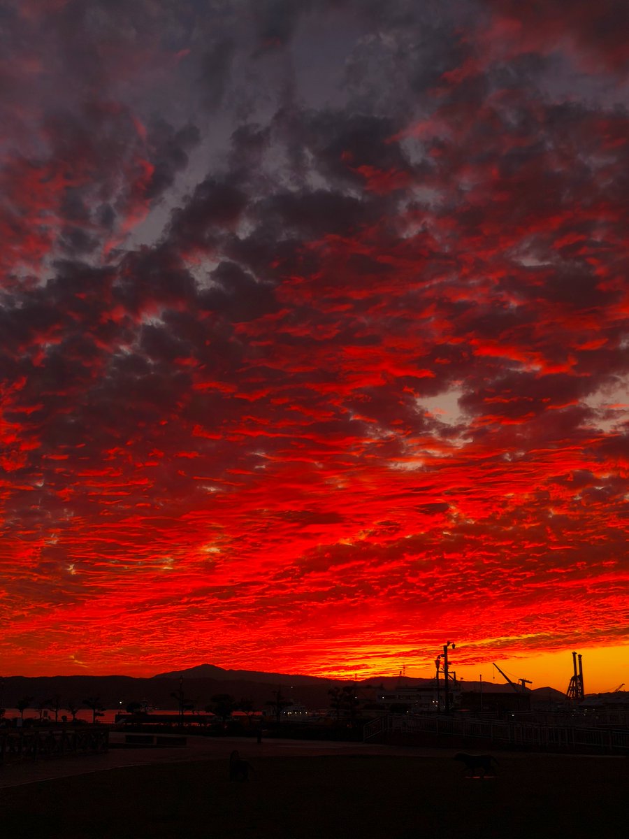 uminosea12's tweet photo. 夕空を見て思わず息を呑んだよ https://t.co/7hVJkjuW01