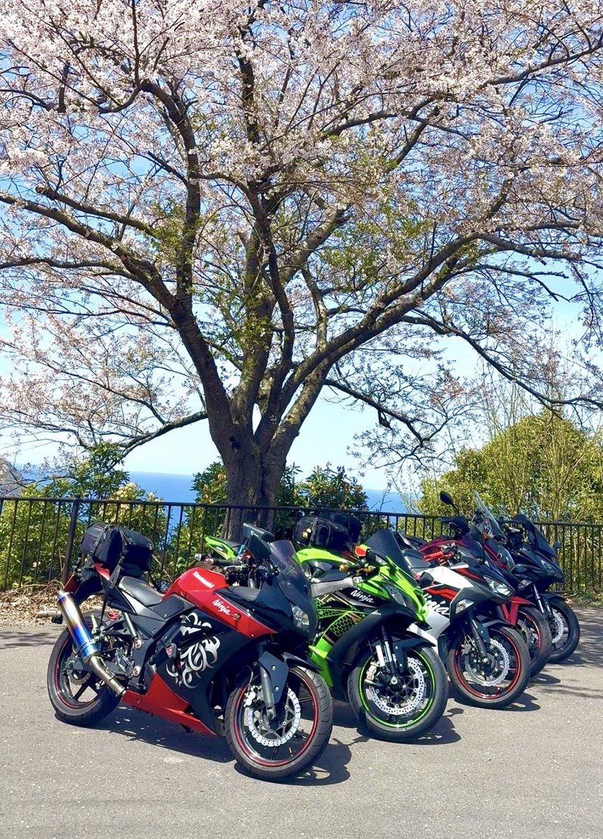 QdAf0l's tweet photo. 先日は週末の晴れを願ってくださいのポストに沢山の❤️をありがとうございました

おかげさまで明日は🔆｡°
予定通りツーリング行ってまいります

朝が早くてバタバタしそうなので、過去のお写真ですがこちらでご挨拶です🙏

皆さんも
良き週末をお過ごし下さい🌷 https://t.co/5bAChx8miX