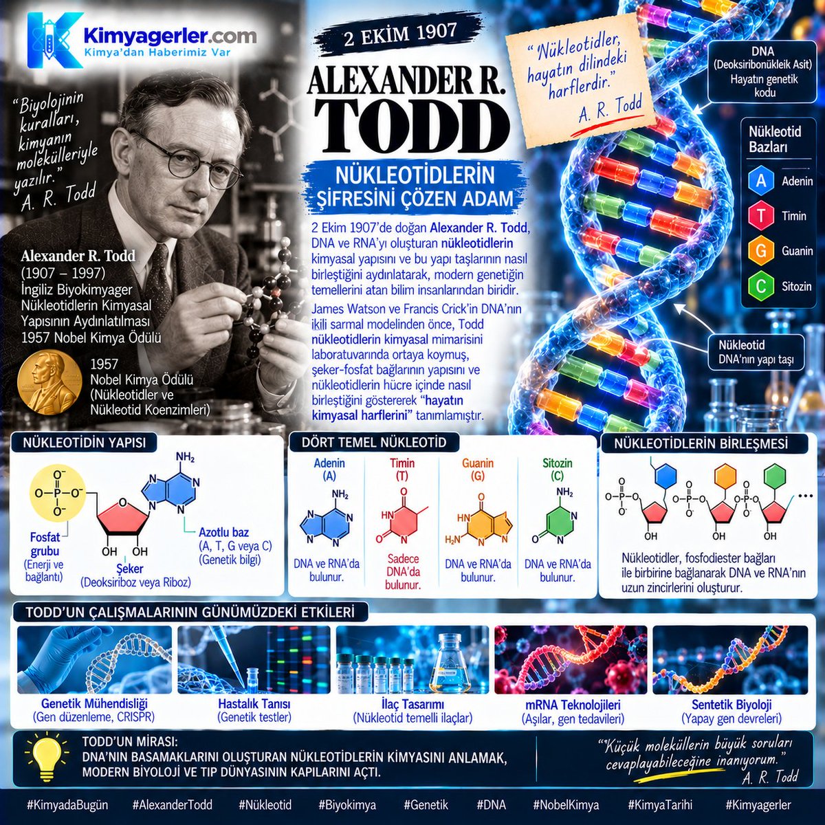 kimyagerlercom's tweet photo. 🧬 DNA ve RNA'nın kimyasal yapı taşları olan "nükleotidlerin" sırrını çözerek modern genetiğin ve biyokimyanın önünü açan, 1957 Nobel Kimya Ödüllü Alexander R. Todd bugün doğdu! (2 Ekim 1907).

Biyolojinin tüm büyük sırları kimyanın temelinde yatar! 🔬💊 
#KimyadaBugün #Biyokimya https://t.co/WzskQ30zIX