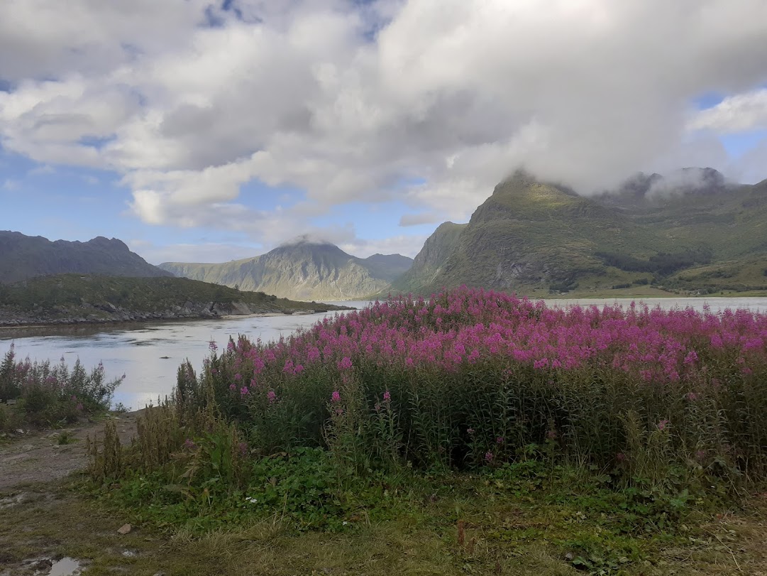 JanCASTELB's tweet photo. @PerseusLeGrand les lofoten : les fjords et Reine (juilet 2026) https://t.co/cLb7ZlB5eE