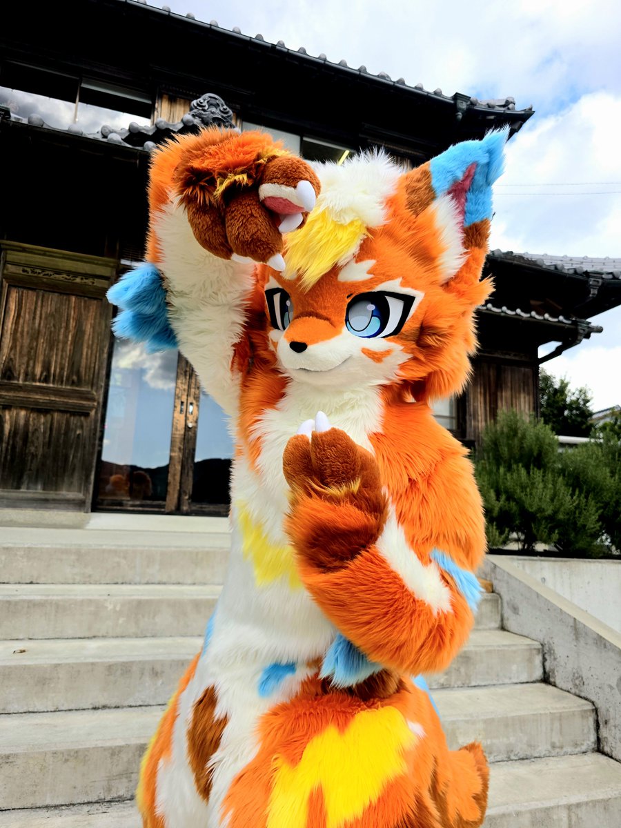 Annie_1004_Xeon's tweet photo. This is チコ

 #FursuitFriday https://t.co/qqoVTcsNHg