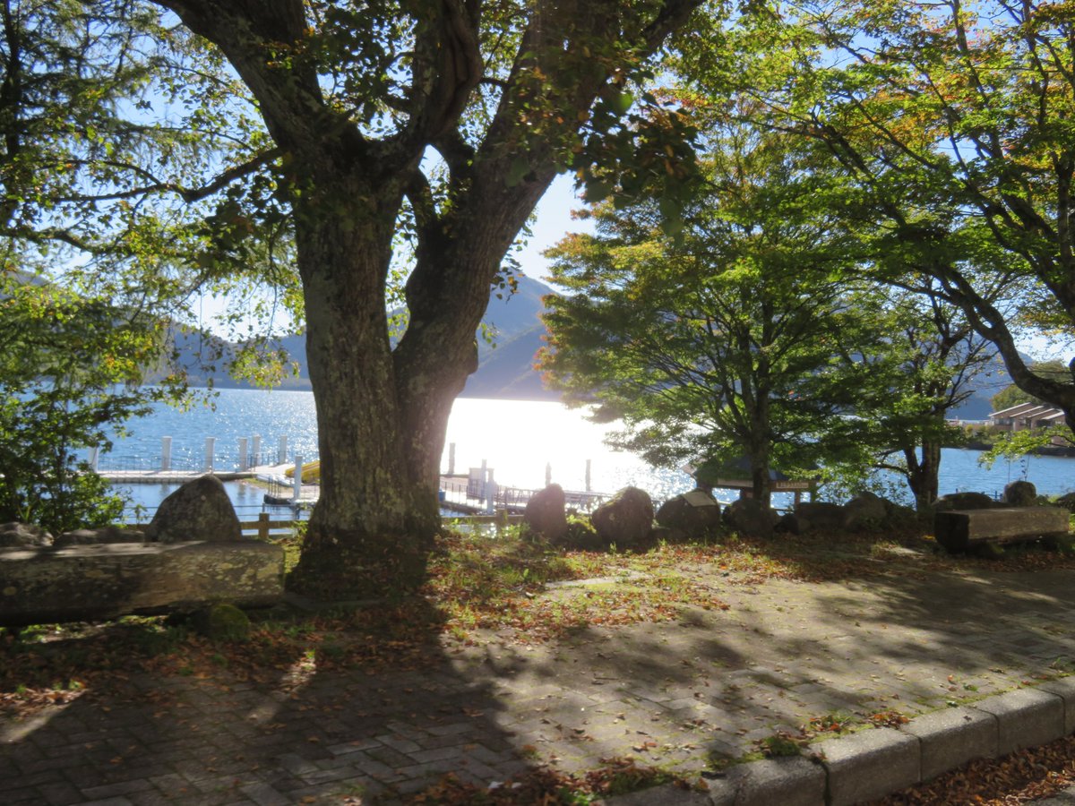 TochigikenD's tweet photo. 【秋日和】file01
#秋日和 です。#紅葉 はまだですが、#中禅寺湖 畔は16℃と陽射しを浴びるのが嬉しい気持ちよさ！
何といっても、空いています！！

思い立ったら #東北道 から #日光道 を乗り継いで #日光 にどうぞ。らくちんです！ https://t.co/jrJx316YHR