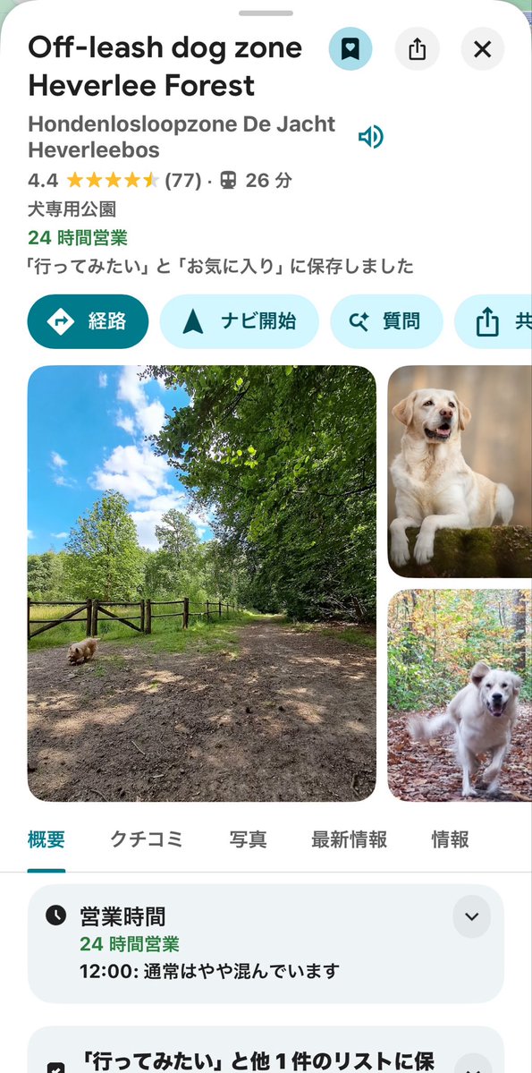 menma4472's tweet photo. 最近、「犬専用公園」っていう天国見つけた

この公園の中では、
犬はリードなしで自由に走り回っていて
飼い主に飼い犬を触っていいか許可取らずに∞撫で放題。(むしろ歩いてたら犬から駆け寄ってくる)

帰る頃には、色んな毛とよだれとニオイまみれになってる https://t.co/zCueRQvdOS