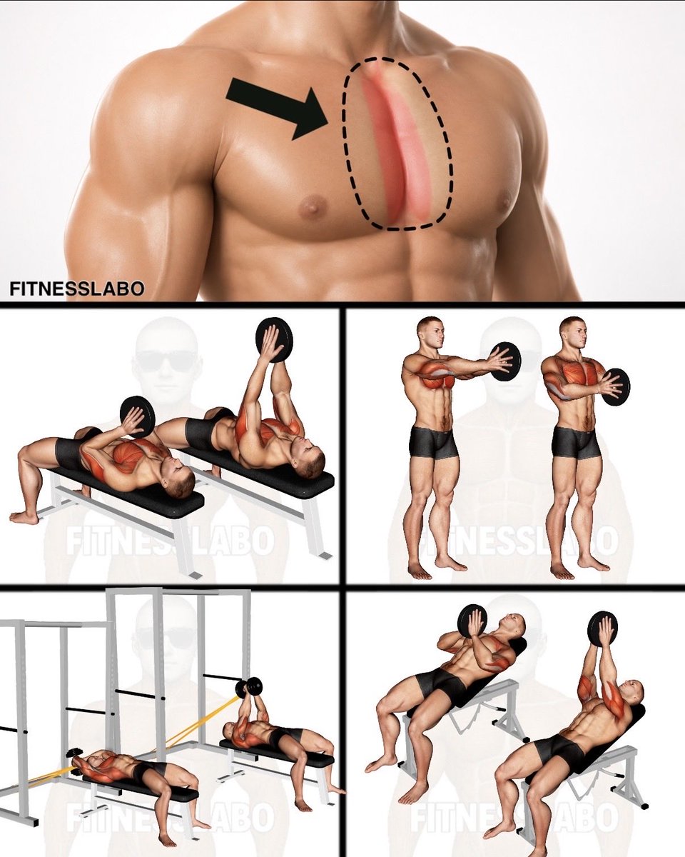 fitnesslaboX's tweet photo. ✅ Build a Fuller Inner Chest With These 4 Moves
① Dumbbell Squeeze Press
② Plate Svend Press
③ Band Dumbbell Pullover
④ Incline Squeeze Press
3 sets × 10–12 reps
#ChestWorkout #ChestDay #Pecs #MuscleGrowth #WorkoutTips #FITNESSLABO https://t.co/X6gwTXQy6f