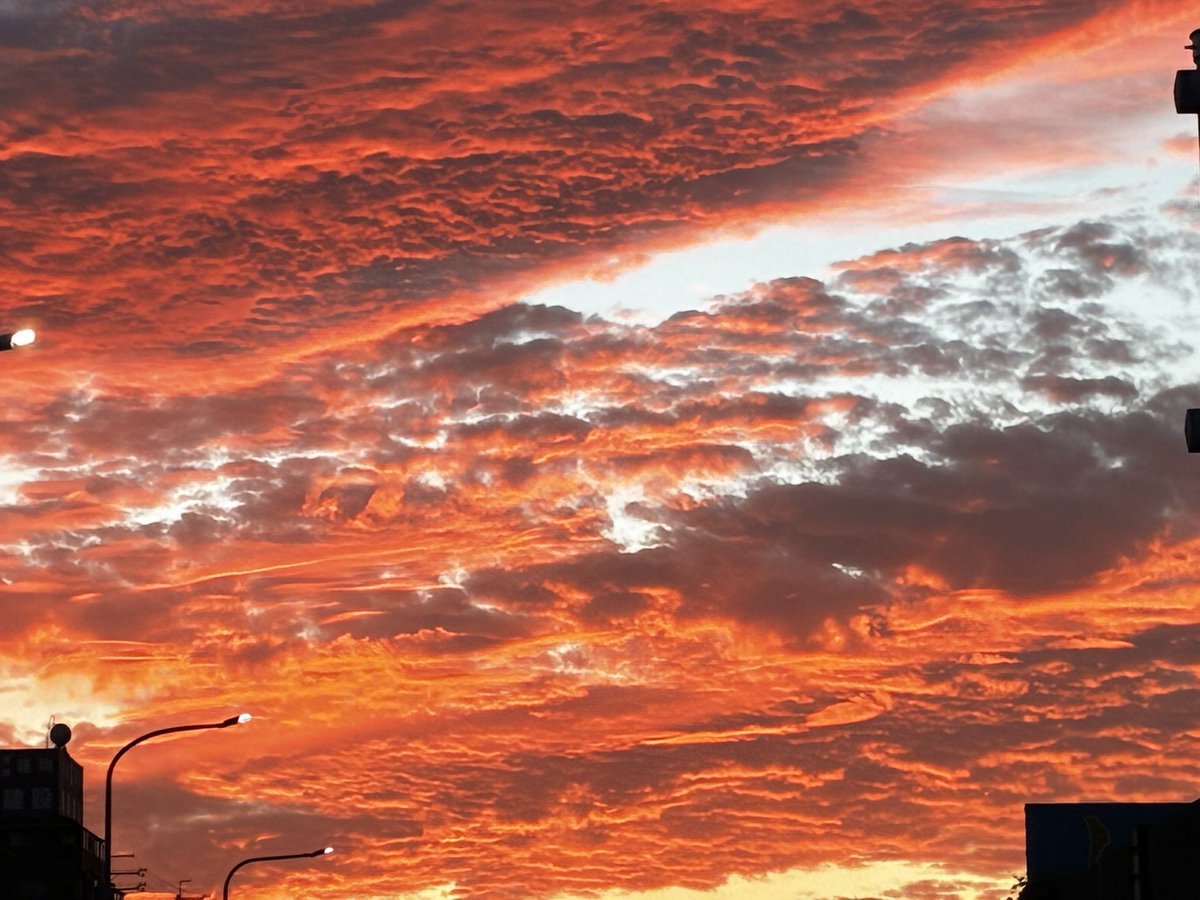 oshima_mino's tweet photo. 今日の夕焼け雲、真っ赤やった❣️ https://t.co/LeP9oNTTja