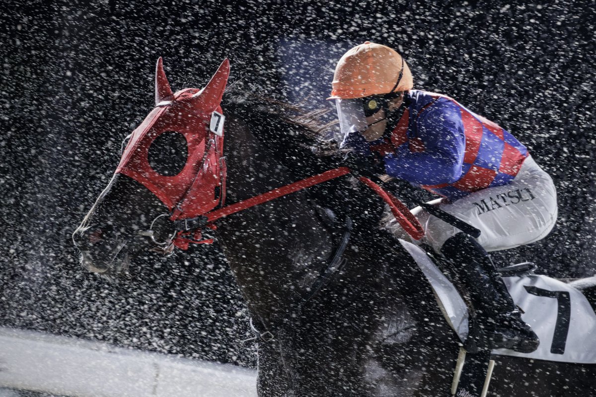 equus_koku's tweet photo. 視界の先へ

#ホッカイドウ競馬　#門別競馬場　#松井伸也　＃スターゲイザー https://t.co/an1KU7m7ui