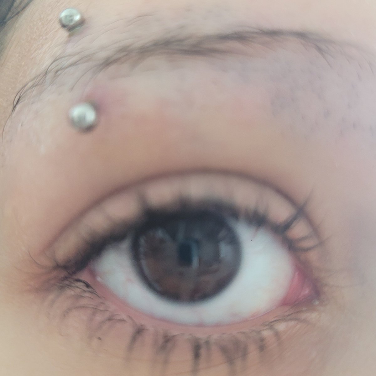 doeowdoll's tweet photo. Oomfs is thus a sign to avoid makeup near the piercing? (I got it pierced last Saturday🥹✌️) https://t.co/vLhCi6kfyE