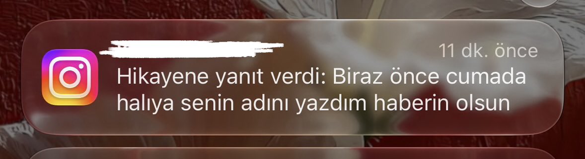 _tugbakaplan's tweet photo. 🫠🌹 https://t.co/7IFiPq0gWu