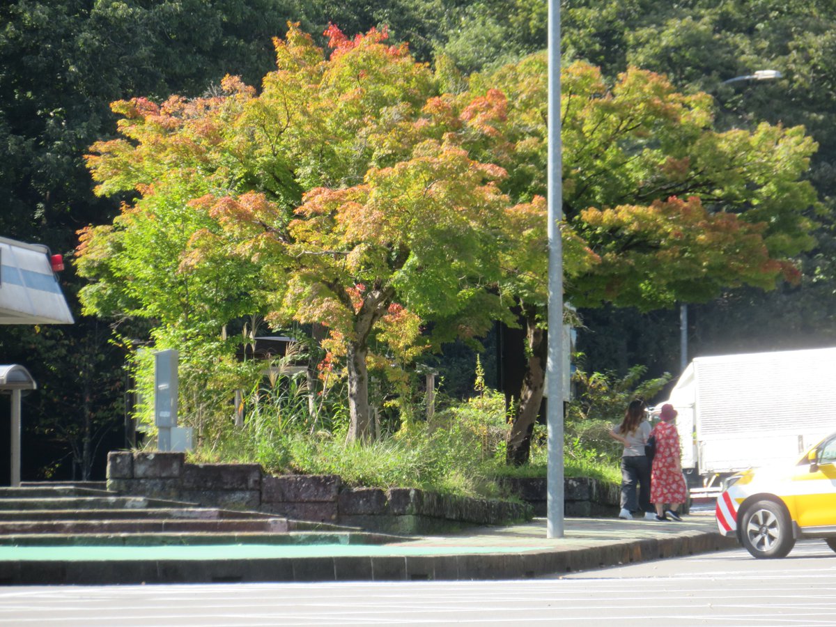 TochigikenD's tweet photo. 【秋日和】file02
#紅葉 はまだ？
#日光道 や#いろは坂 #湯ノ湖 もまだですね～
だからこそ、#渋滞 に巻き込まれず、ゆったり、のんびり。

思い立ったら #東北道 から #日光道 を乗り継いで #日光 にどうぞ。らくちんです！ https://t.co/8vfeY7QPXO