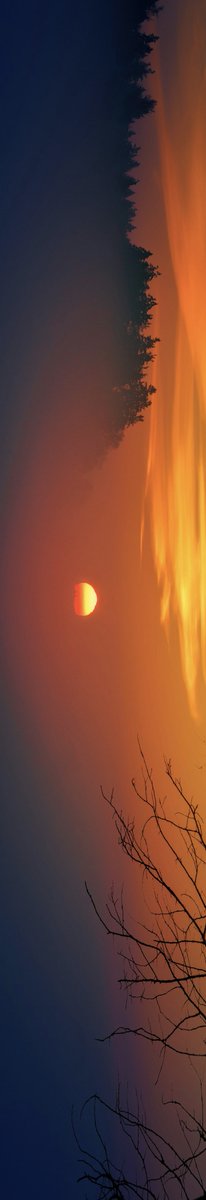 earthcurated's tweet photo. too many moods to choose just one. https://t.co/eLjNppFMZV