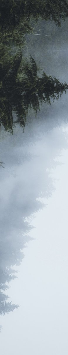 earthcurated's tweet photo. too many moods to choose just one. https://t.co/eLjNppFMZV