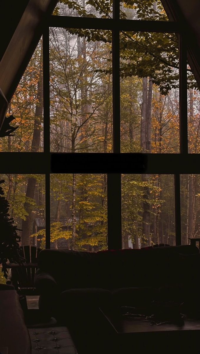naturaholic's tweet photo. beauty of autumn 🍁 https://t.co/v078mNZv0L