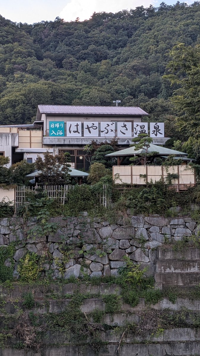 masa55445544 tweet picture