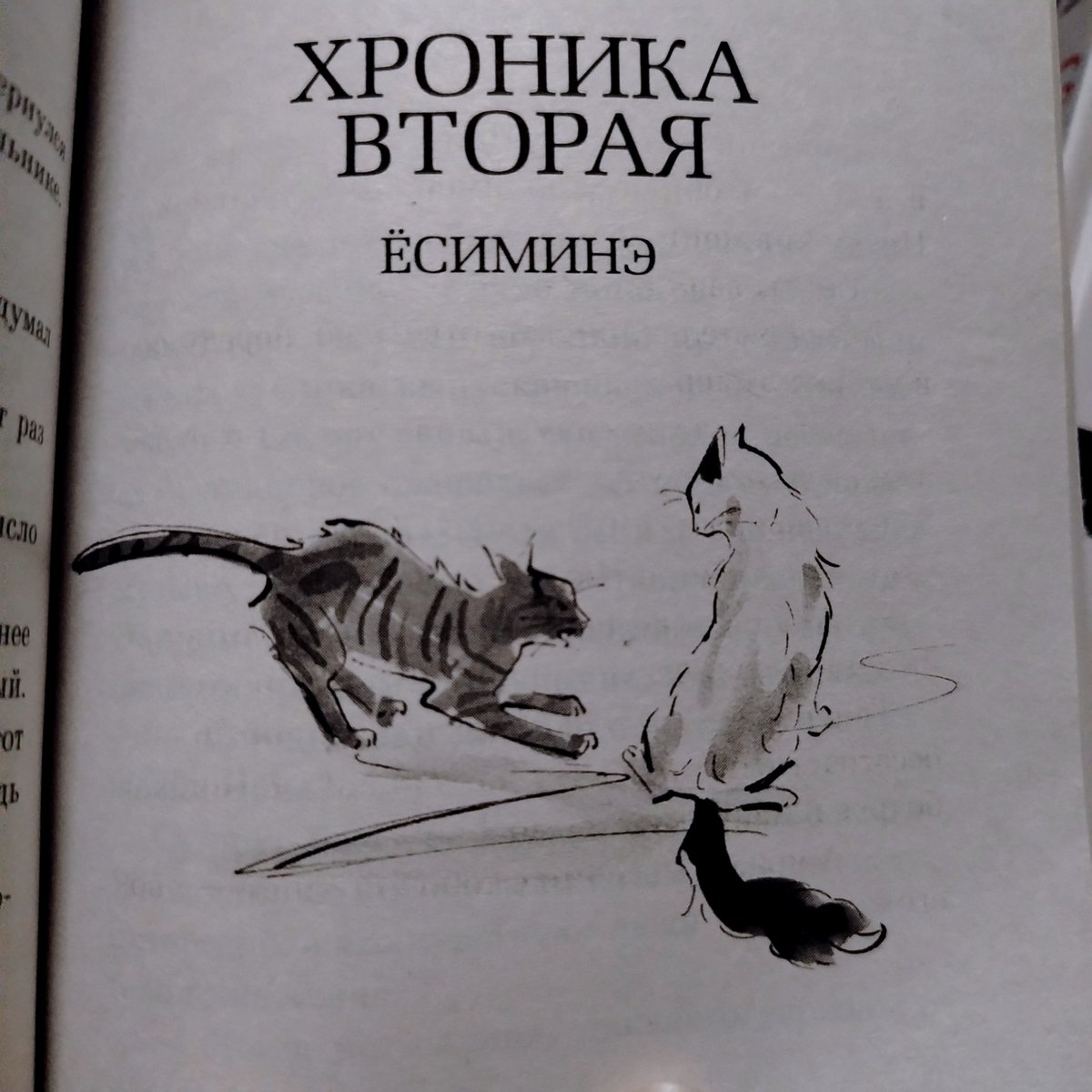 2wteitmiey's tweet photo. Много кошек не бывает. Я сама скоро кошкой стану https://t.co/lL1hAEerxv