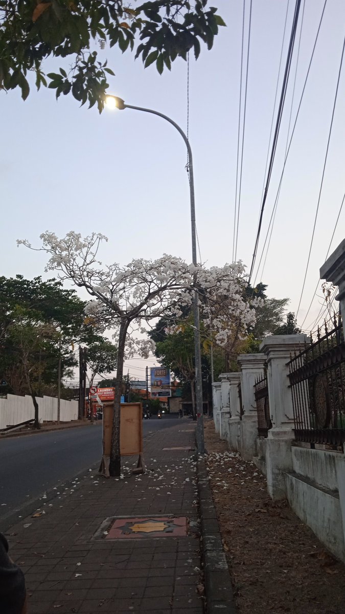 yonatlantis's tweet photo. walking to the bus stop feels agonizingly slow because I'm too busy romanticizing my life to spyair's orange https://t.co/SMKGFzUwNh