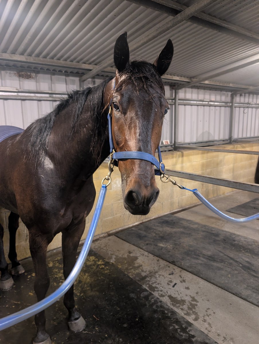 KHowlettRacing's tweet photo. This guy 3rd in his first race. Wasn't expecting a thing but so happy with his run I was nigh on teary. 
#MissingYou. Love you little Jones. 
#artmajor https://t.co/tbPyvuCNvl