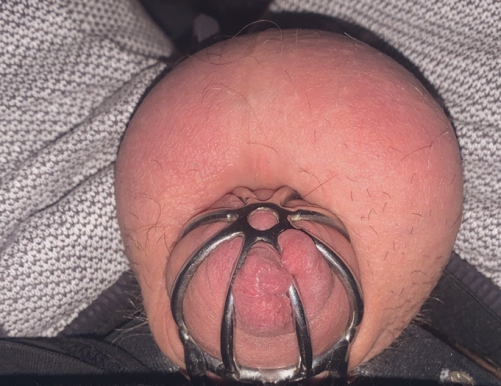 BlockedVirgin's tweet photo. Locktober Day #2 https://t.co/jW49aKz9ll