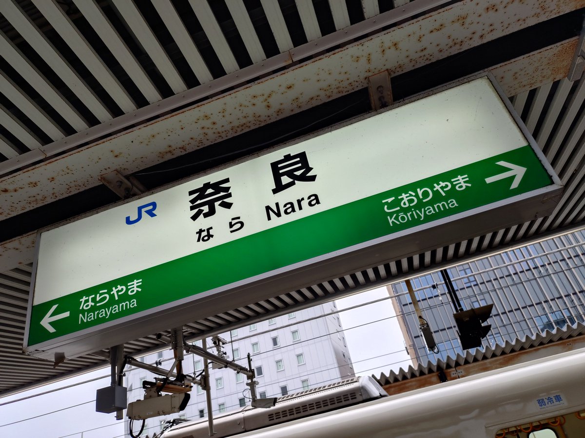 razu9989's tweet photo. ちょっと休みがあったから遊びに行ってきた〜
逆に関西圏やけど奈良ってちゃんと行ったこと無かったんよね🤔
小学校の修学旅行以来？ https://t.co/AFQSFPuAhz