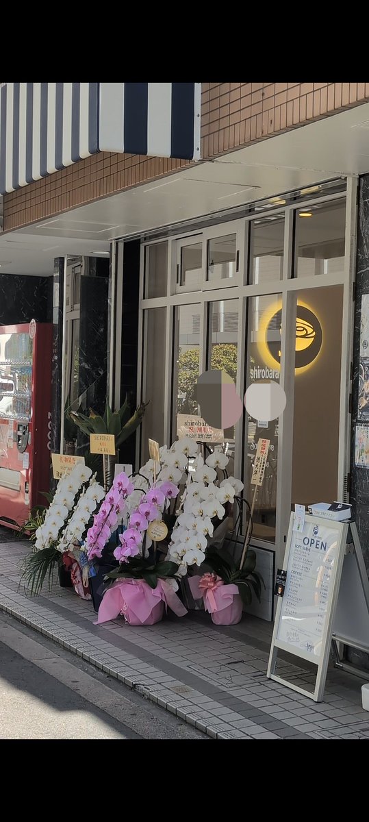 furan_osakacafe's tweet photo. 白バラ牛乳ファンに！大山乳業白バラ牛乳使用のソフトクリーム店が大阪上本町にニューオープン。濃厚だけど後味すっきり。バラの形をしたアイスクリームや、コーヒー系のメニューがありました。駅からも近いです！
🏠shirobara
続↓ https://t.co/mBXKmrsXi7