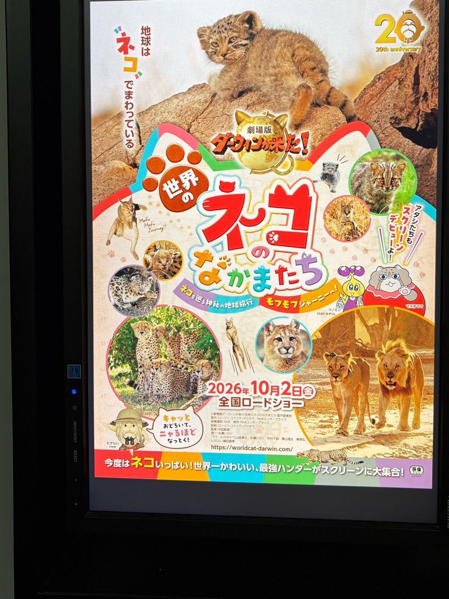 ju60a_'s tweet photo. 定期開催してる1人映画🍿いってきた https://t.co/RATLc71xWn