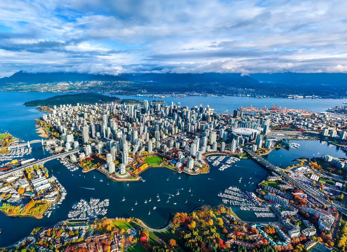 NatureRoot88's tweet photo. Vancouver British Canada https://t.co/JpuxAxGAlq